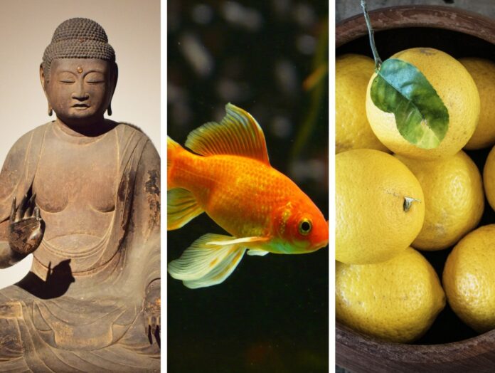LUCKY CHARMS: HOME DECOR WITH A TOUCH OF ‘MAGIC’